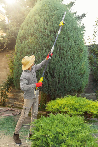 Leaf Removal in Victory Gardens, NJ